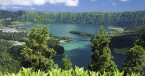 Scenic view of a lake surrounded by lush green hills and forest.