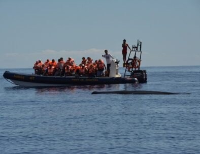 Group in boat watches a whale near the water's surface.