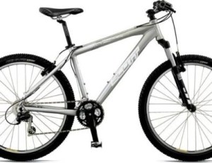 Silver mountain bike with black tires and a front suspension.