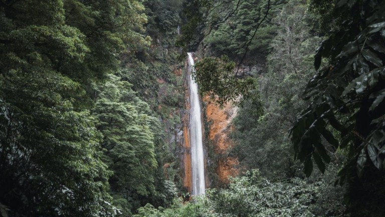 Tall waterfall cascading down a cliff surrounded by dense green forest.