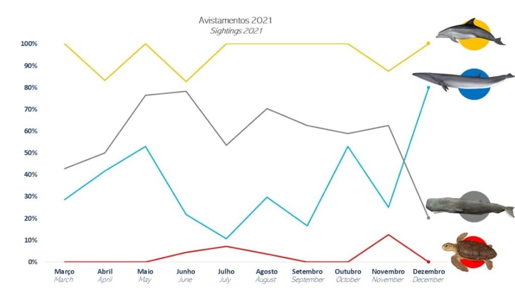 Graph of animal sightings per month in 2021, with lines in yellow, blue, and gray.