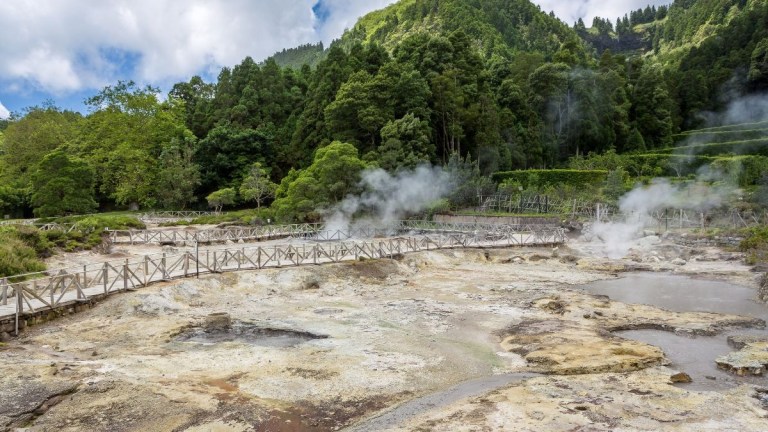 Steam rises from geothermal area with wooden walkways and lush trees.
