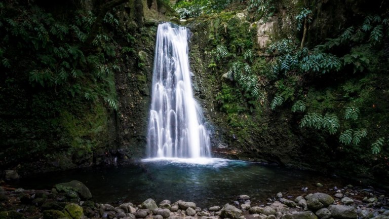 Waterfall flowing over rocks in a lush green forest.