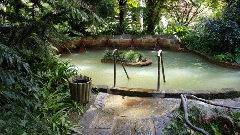 Tropical garden with small hot spring pool and metal handrails.