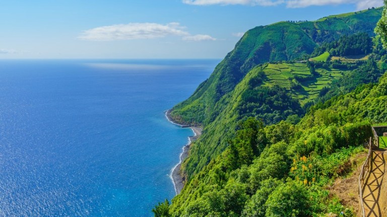 Lush green cliffs overlooking a vast ocean under a clear blue sky.