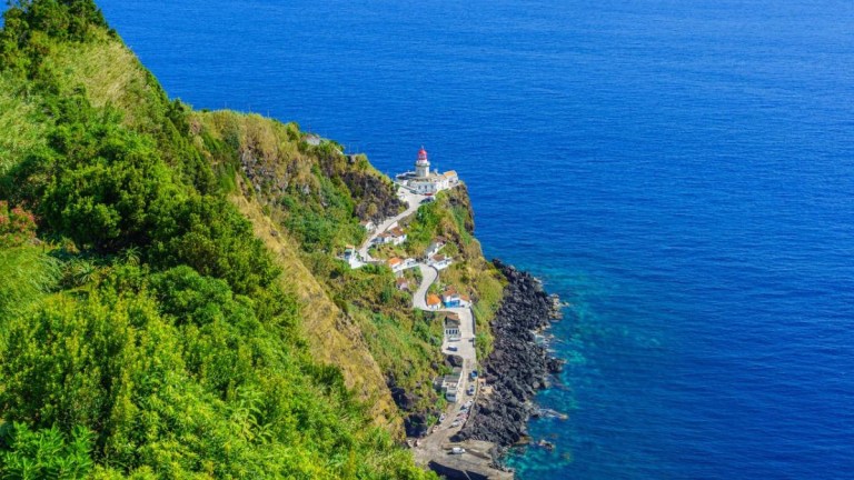 Lighthouse on a cliff beside a vast ocean with lush greenery.