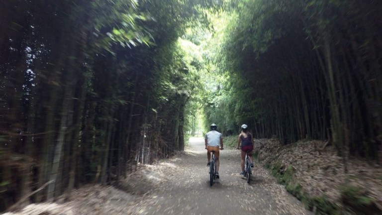 Two cyclists ride through a lush bamboo forest path.