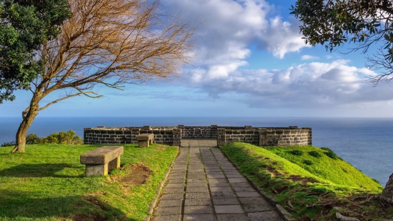 Stone path leading to ocean view with trees and a bench.