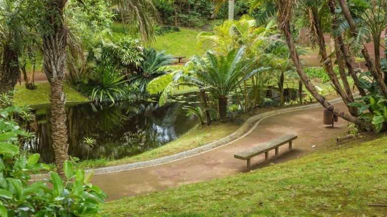 Lush garden with pond, benches, and tropical plants.