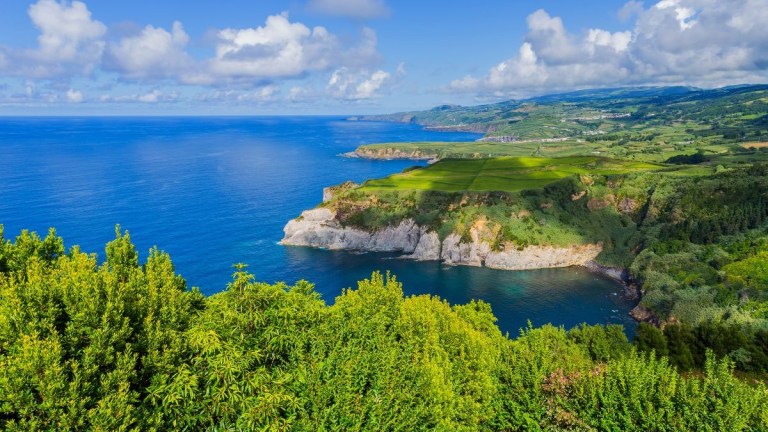Lush green cliffs overlooking a blue ocean under a partly cloudy sky.