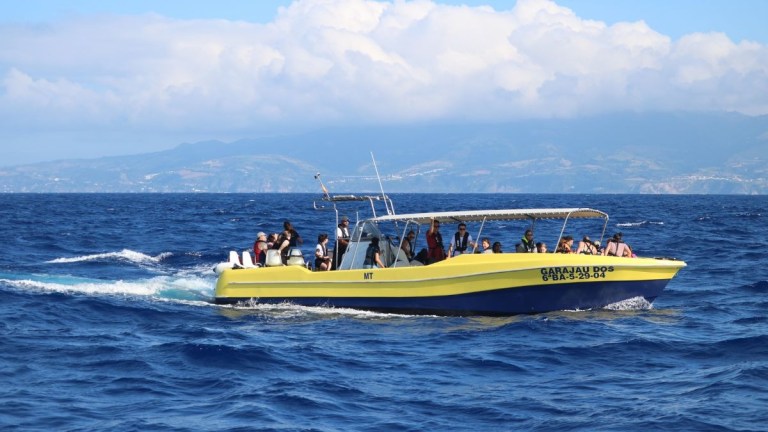 Yellow speedboat with passengers on blue ocean water.
