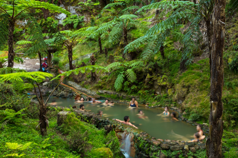 People relaxing in a natural hot spring surrounded by lush green ferns.