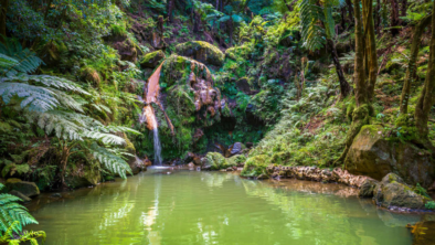 Small waterfall flowing into a lush, forested pond.