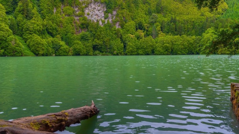 Serene lake surrounded by dense green forest and rocky hillside.