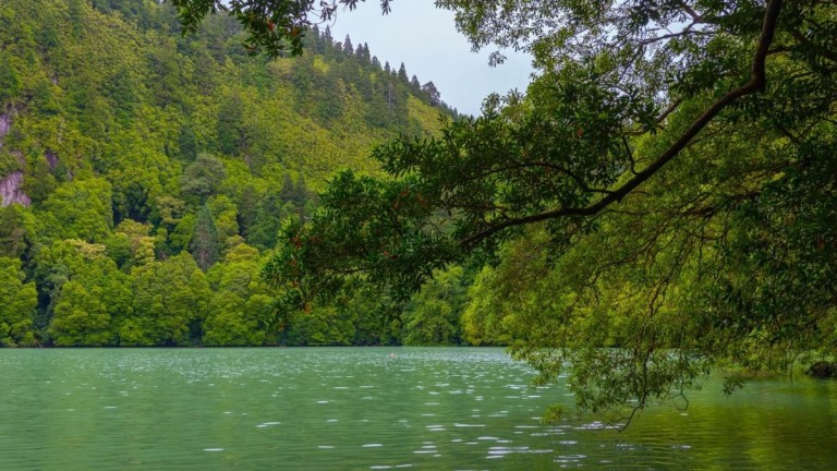 Scenic view of a green lake surrounded by lush forested hills.