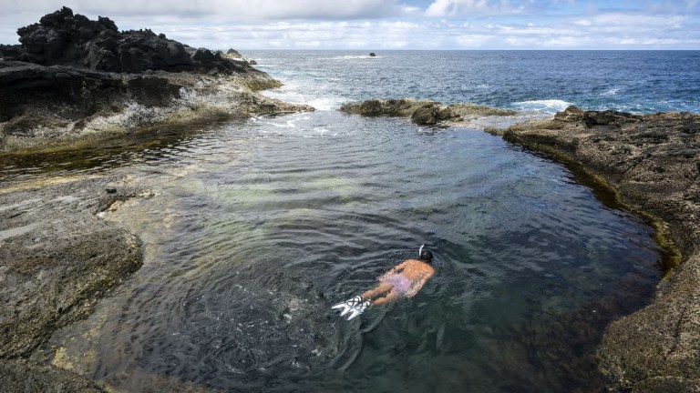 Person snorkeling in a natural rocky tidal pool by the ocean.