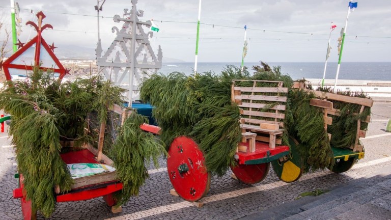 Decorated wooden carts with greenery on a cobblestone street by the sea.