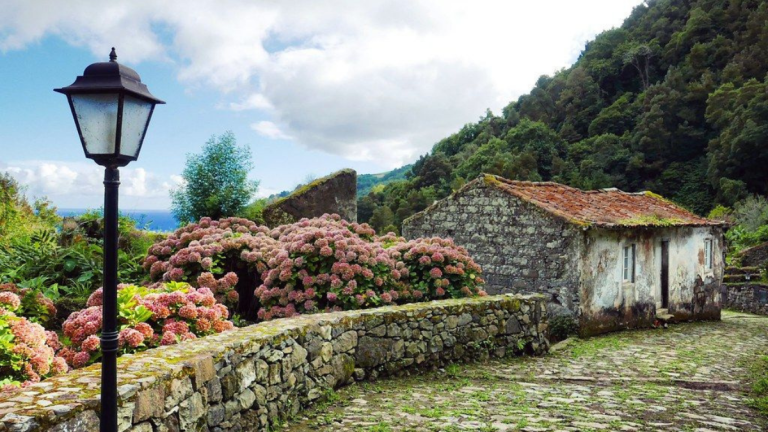 Stone house with mossy roof, stone wall, and hydrangeas, set against trees and cloudy sky.