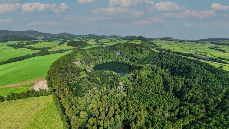 Aerial view of a small lake surrounded by dense green forest and fields.