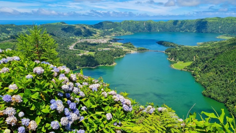 Scenic view of blue lakes surrounded by green hills, with purple flowers in the foreground.