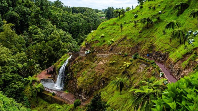 Lush hillside with a waterfall and winding path surrounded by greenery.
