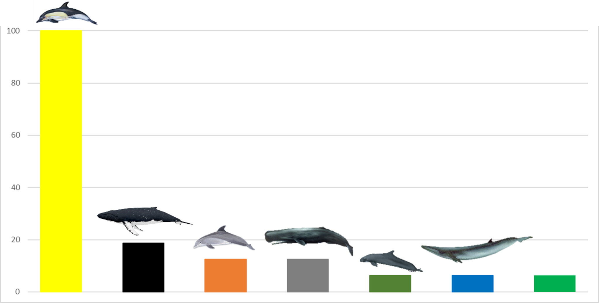 Bar chart with aquatic animals on bars, dolphin on tallest yellow bar.