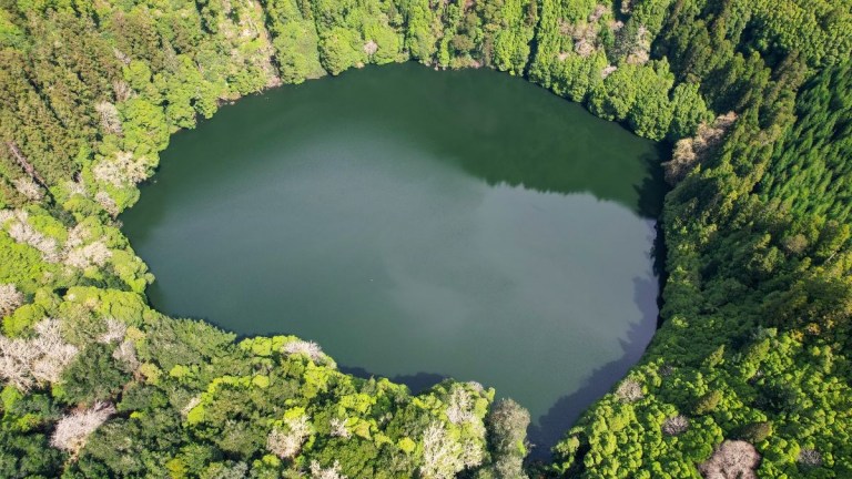 Aerial view of a circular forested lake surrounded by dense green trees.