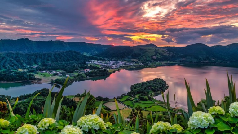 Vibrant sunset over a lake with lush greenery and hydrangeas in the foreground.