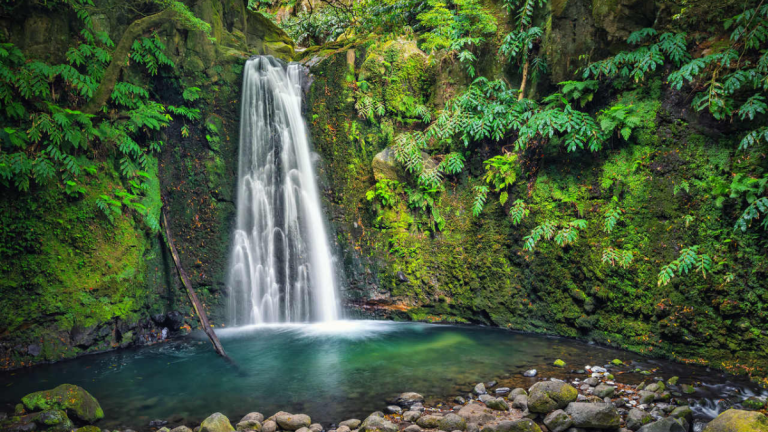 Small waterfall cascading into a serene pool surrounded by lush greenery.