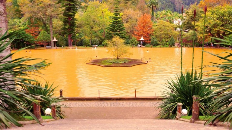 Orange lake with central island, surrounded by trees and plants.
