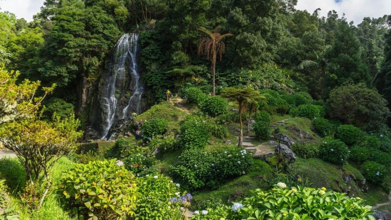 Lush green garden with a waterfall and trees in the background.