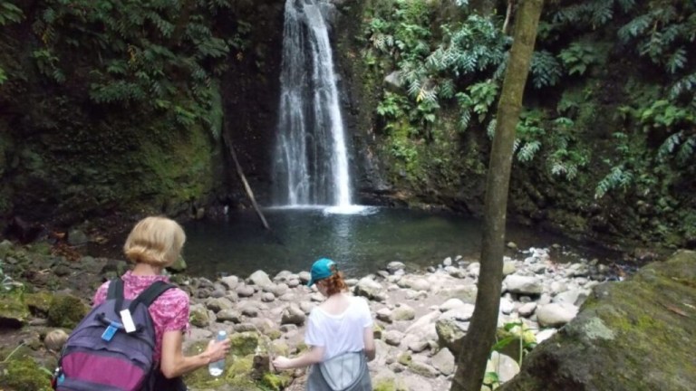 Two people near a small waterfall surrounded by dense green foliage.