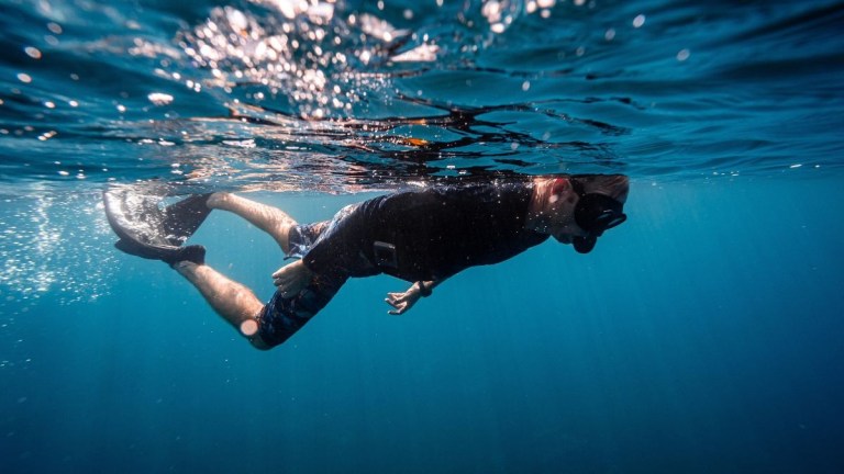 Person snorkeling underwater, wearing flippers and a mask, in clear blue water.