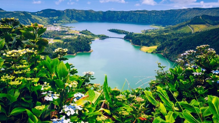 Lush greenery and flowers surrounding a turquoise lake with hills and a small town in the background.