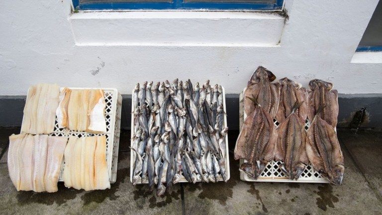 Three baskets of dried fish on display against a white wall.