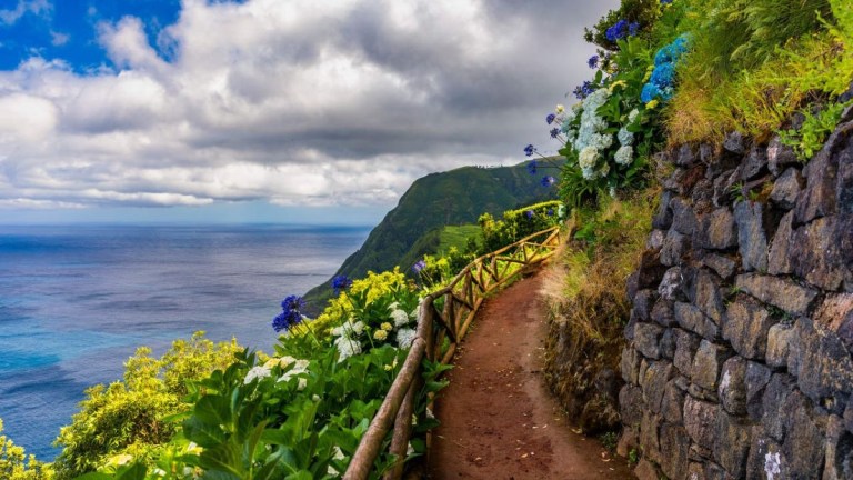 Coastal path with flowers, ocean view, and cloudy sky.