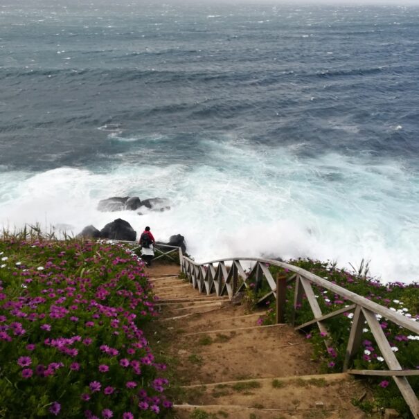 Azores, Hiking Ribeira Funda 2