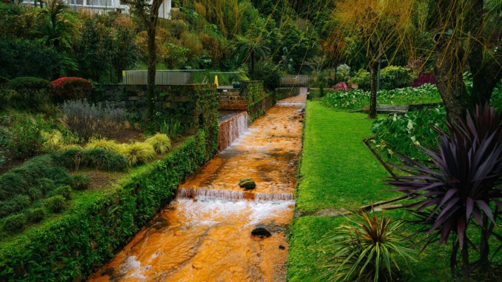 Outono em São Miguel: 5 experiências para viver esta estação 5 blog picos de aventura outono sao miguel 2 1