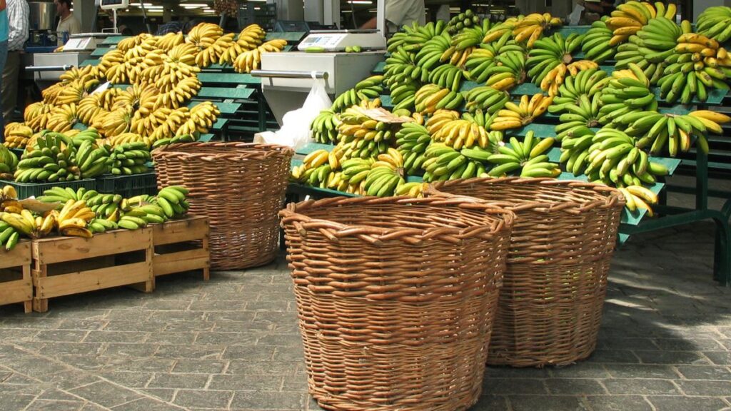 Outono em São Miguel: 5 experiências para viver esta estação 8 blog picos de aventura outono sao miguel 2 2