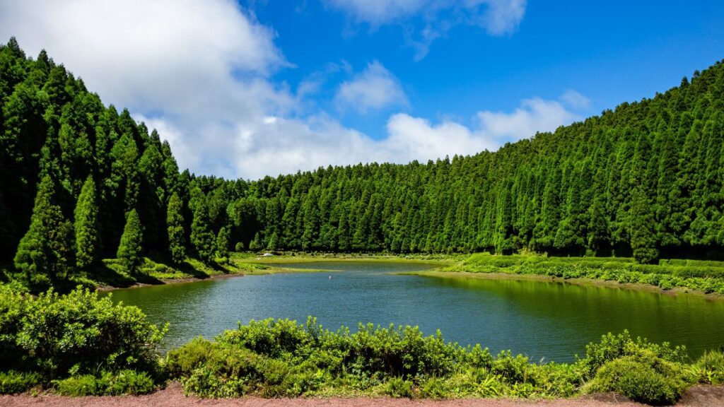 Caminhadas em família em São Miguel e Terceira 4 blog caminhadas em familia sao miguel e terceira 1