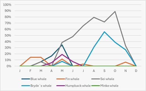 blog picos de aventura avistamentos 1 1