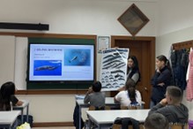 Picoslogia 5 Imagem3 1