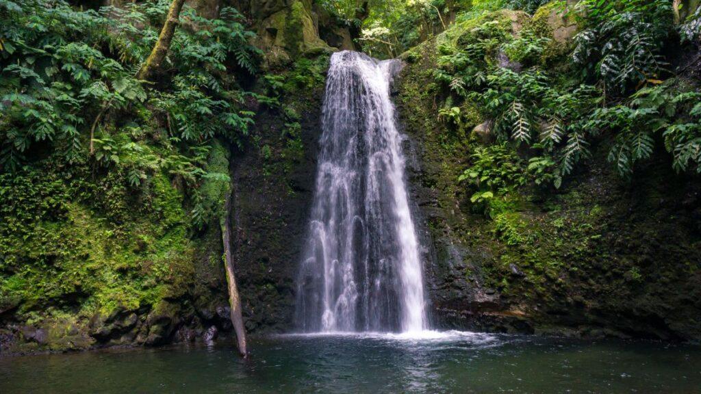 blog picos de aventura primavera 3 1