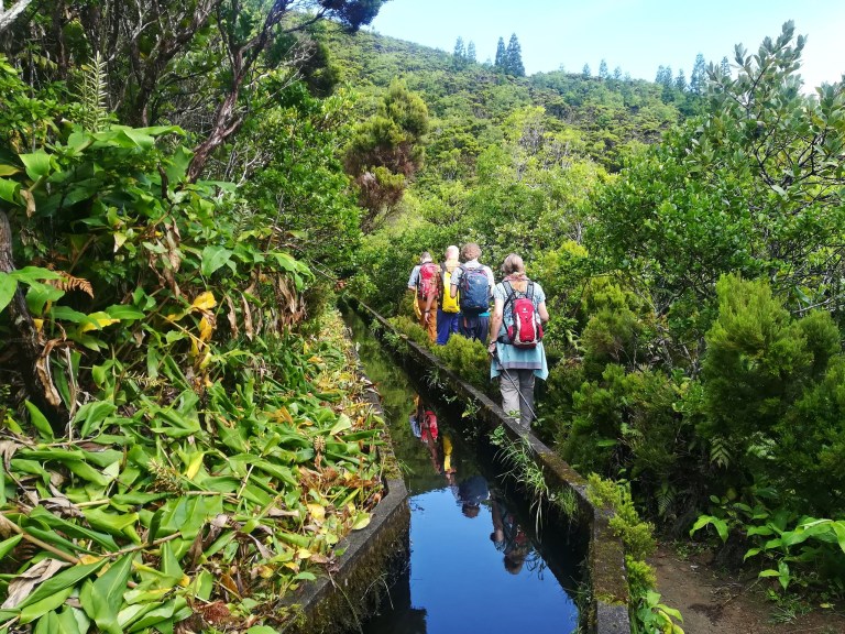 Group hiking on lush forest trail beside a narrow canal.
