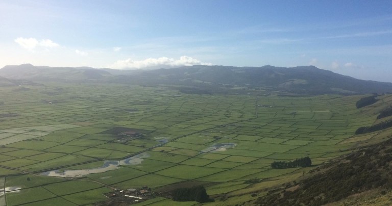 Aerial view of a vast green patchwork landscape under a blue sky.