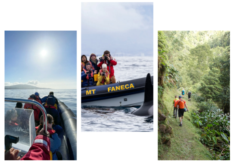 Three photos of people on boats and hiking in nature.