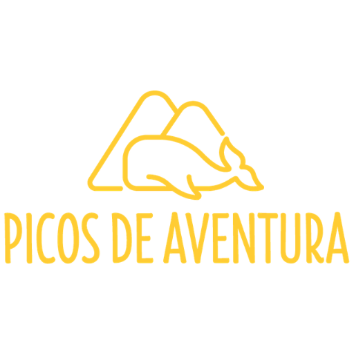 Logo Picos (1) Yellow logo with mountain outline and text 'Picos de Aventura'.
