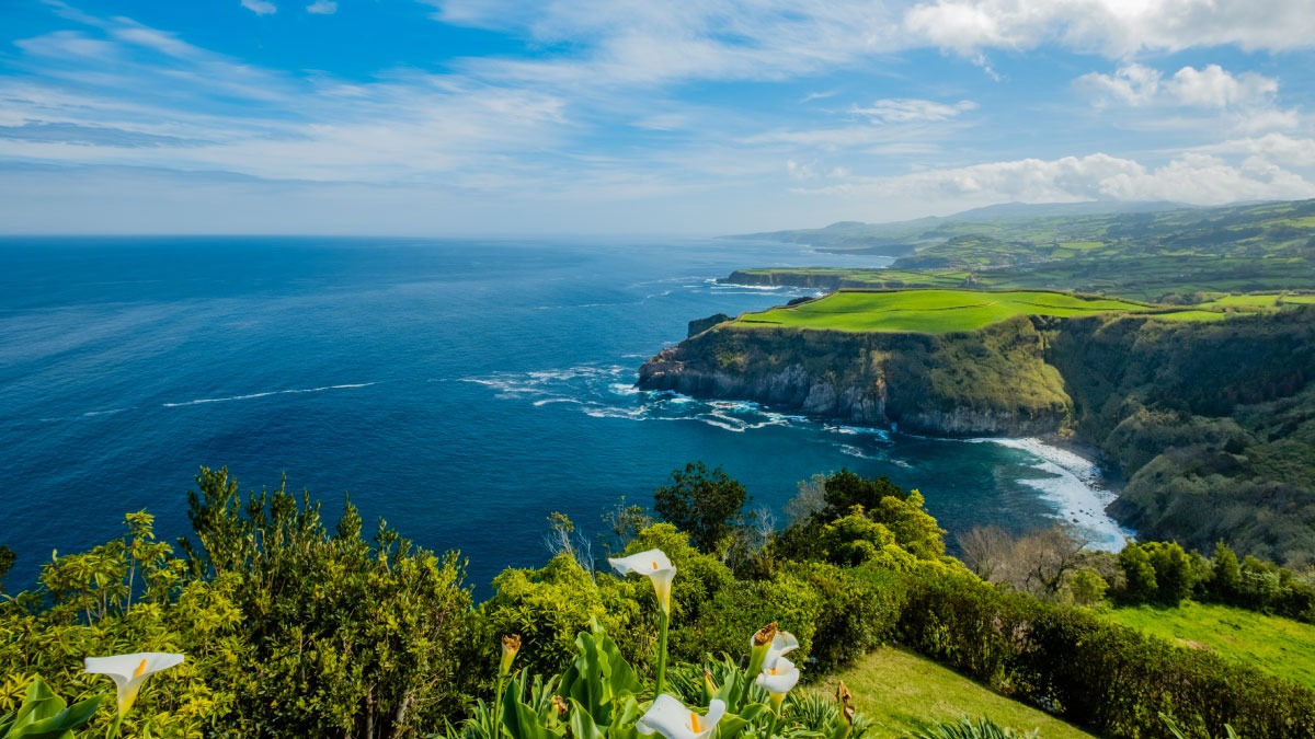 Coastal landscape with cliffs, green fields, and blue ocean under a cloudy sky.