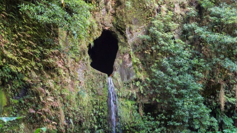 Waterfall flowing through dense greenery and a cave-like hole in a cliff.