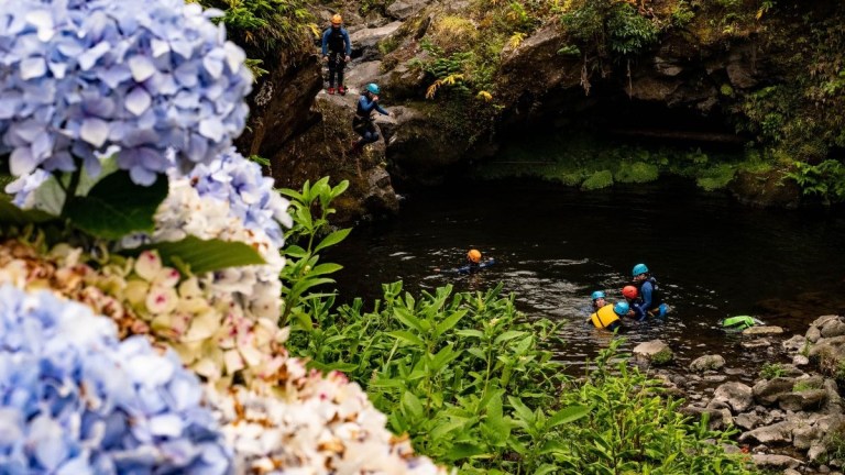 Group of people canyoning in a lush, rocky river with blooming hydrangeas nearby.